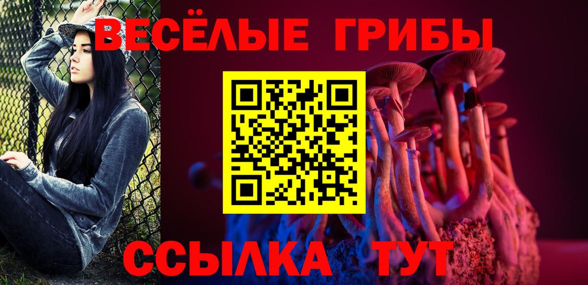 Полевской  Галлюциногенные грибы Psilocybine cubensis  Вход с VPN 