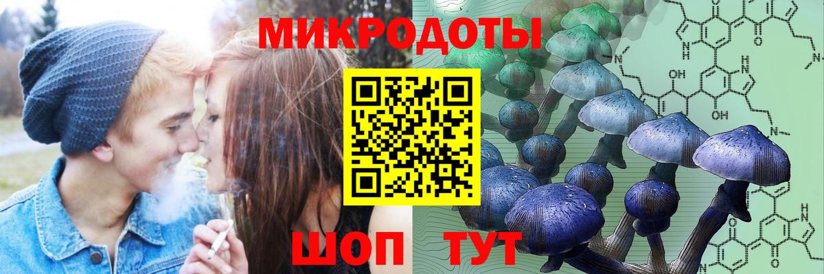 Псилоцибиновые грибы Psilocybine cubensis Полевской